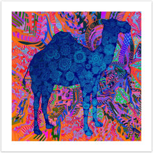 Psychedelic Dromedary