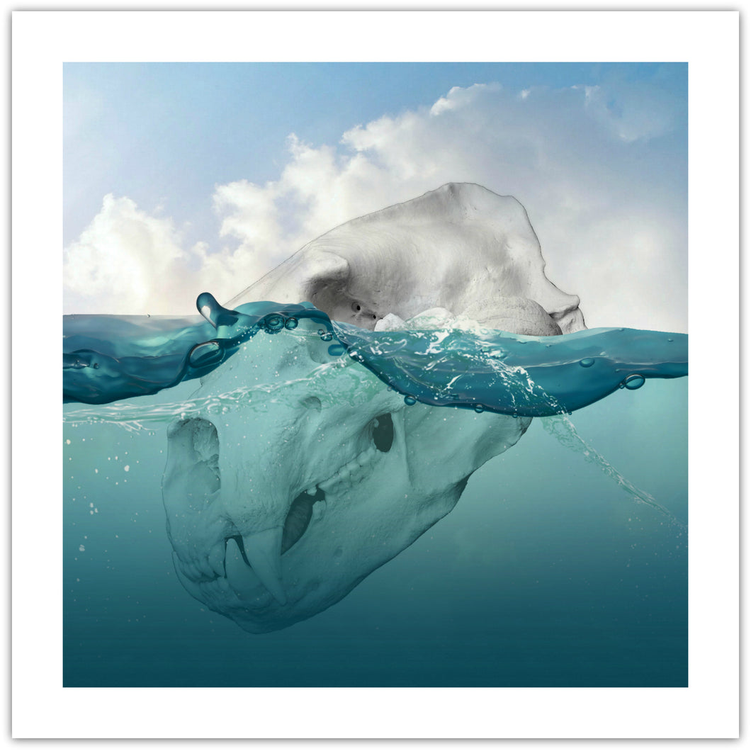 Missing Bear - original surrealistisk kunst, der viser et isbjerg i vandet. Man ser også undervandet og ser bjertet er et stykke af et isbjørnekranie - af billedkunstner og surrealist Hugo Sax