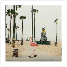 Venice Beach Flamingo - kunst fra Helt Sort galleri