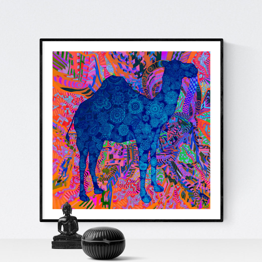 Psychedelic Dromedary