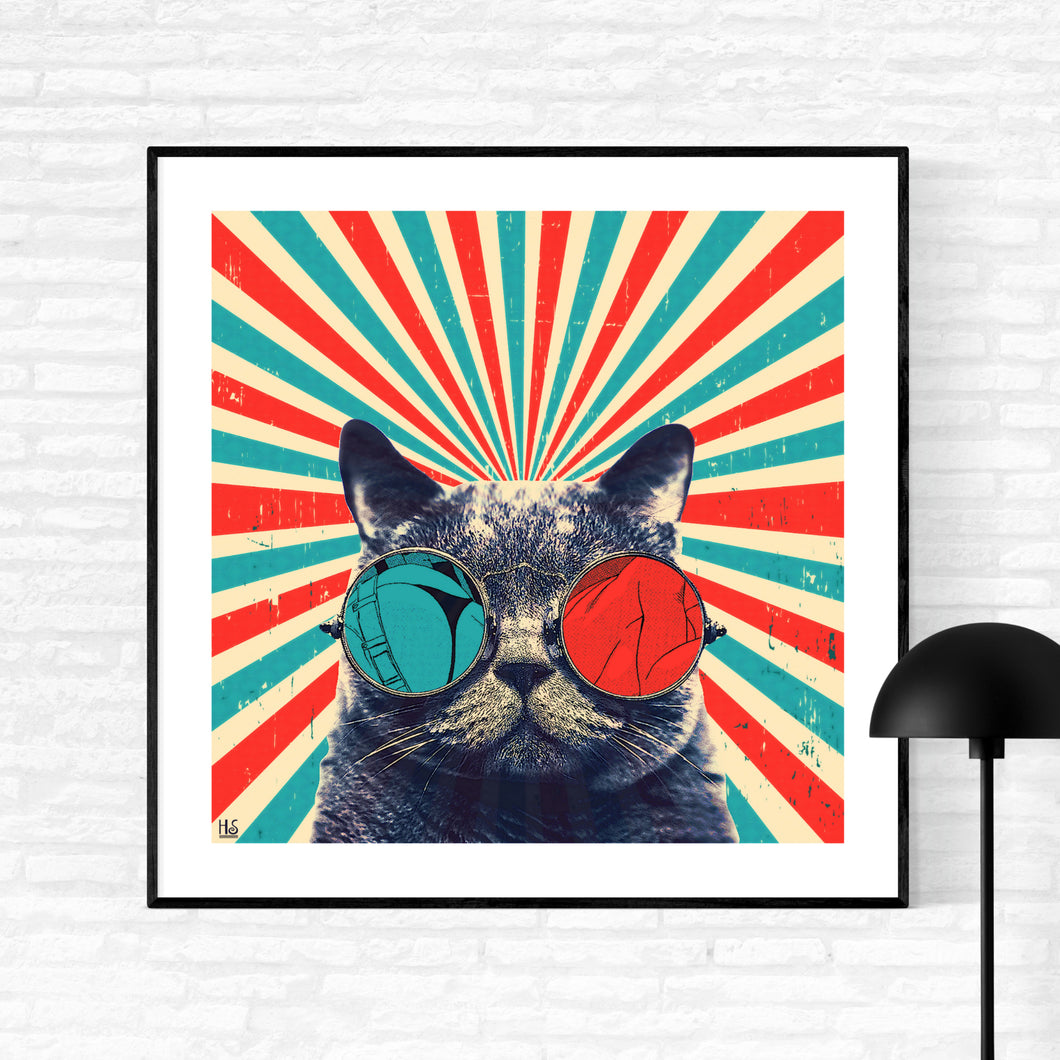 The Spectacled Cat